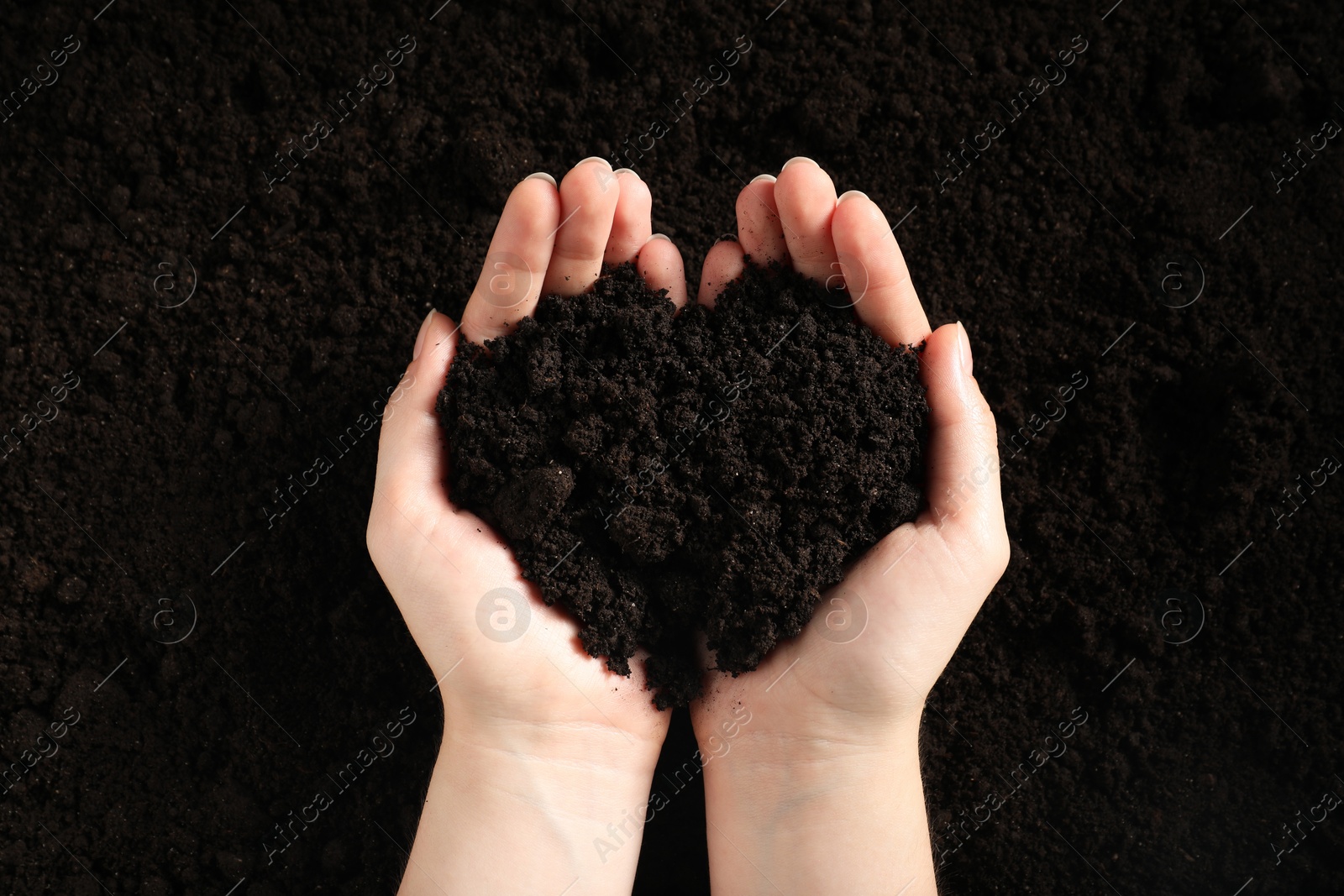 Woman with pile of fresh soil, top view Photo of Woman with pile of fresh soil, top view