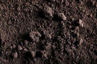 Photo of Fresh soil as background, top view. Organic matter
