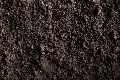 Photo of Fresh soil as background, top view. Organic matter