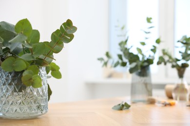 Photo of Florist. Eucalyptus branches in glass vase on wooden table in flower shop, closeup. Space for text