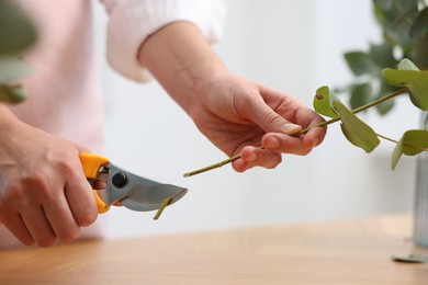 Photo of Florist making beautiful bouquet of eucalyptus branches at wooden table in flower shop, closeup