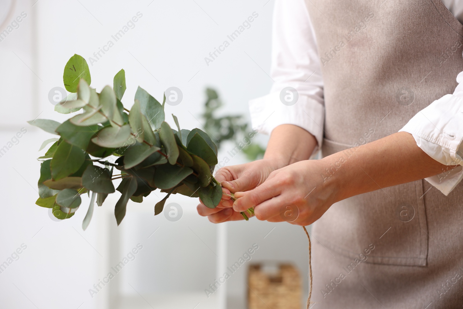Florist making beautiful bouquet of eucalyptus branches in flower shop, closeup Photo of Florist making beautiful bouquet of eucalyptus branches in flower shop, closeup