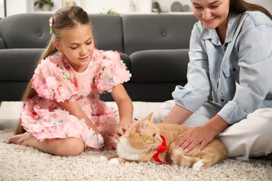 Photo of Dreams come true. Mother giving ginger cat with red bow to her daughter at home, closeup
