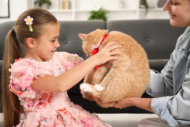 Photo of Dreams come true. Mother giving ginger cat with red bow to her daughter at home, closeup