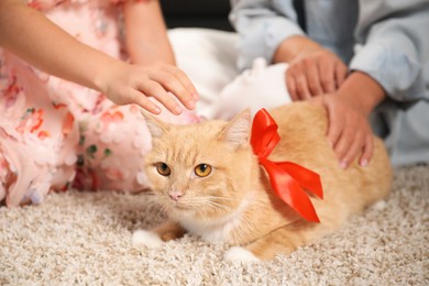 Photo of Dreams come true. Mother and her daughter stroking ginger cat with red bow on floor at home, closeup