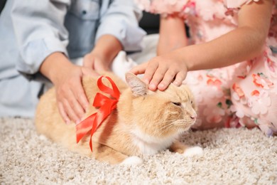 Photo of Dreams come true. Mother and her daughter stroking ginger cat with red bow on floor at home, closeup