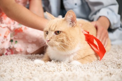 Photo of Dreams come true. Mother and her daughter stroking ginger cat with red bow on floor at home, closeup