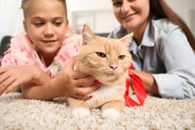 Photo of Dreams come true. Mother and her daughter stroking ginger cat with red bow on floor at home, selective focus