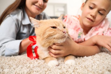 Photo of Dreams come true. Mother and her daughter stroking ginger cat with red bow on floor at home, selective focus