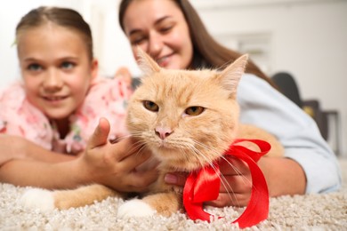 Photo of Dreams come true. Mother and her daughter stroking ginger cat with red bow on floor at home, selective focus
