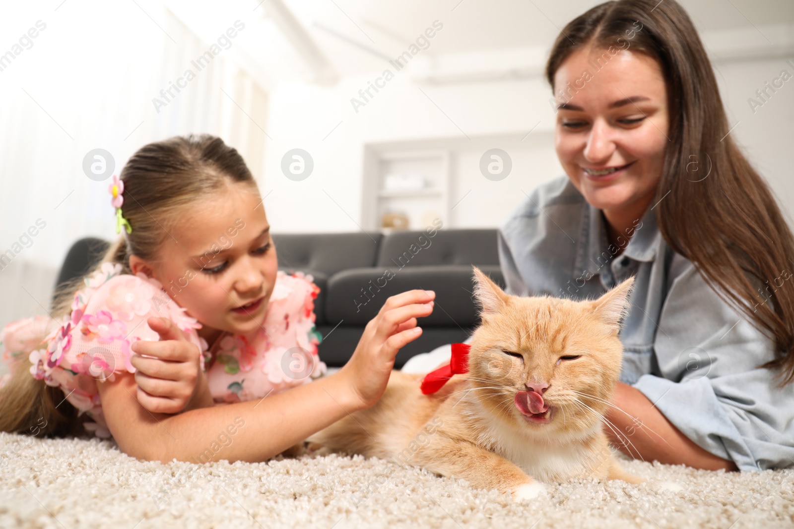 Photo of Dreams come true. Mother and her daughter stroking ginger cat with red bow on floor at home