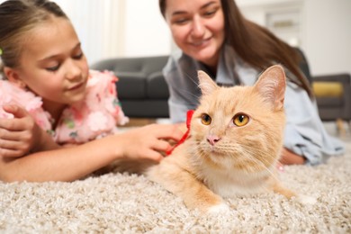 Photo of Dreams come true. Mother and her daughter stroking ginger cat with red bow on floor at home, selective focus