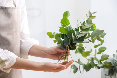 Photo of Florist making beautiful bouquet of eucalyptus branches in flower shop, closeup