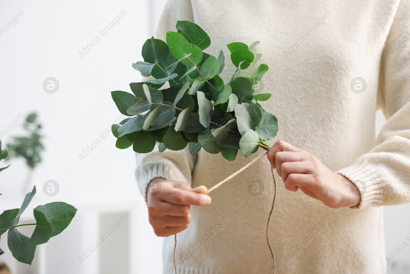 Florist making beautiful bouquet of eucalyptus branches in flower shop, closeup Photo of Florist making beautiful bouquet of eucalyptus branches in flower shop, closeup