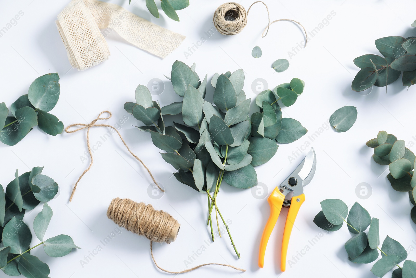 Florist. Eucalyptus branches, threads, pruner and ribbon on white table, flat lay Photo of Florist. Eucalyptus branches, threads, pruner and ribbon on white table, flat lay