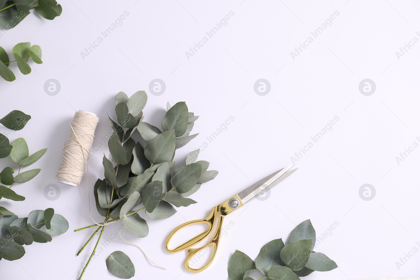 Florist. Eucalyptus branches, thread and scissors on white table, flat lay. Space for text Photo of Florist. Eucalyptus branches, thread and scissors on white table, flat lay. Space for text