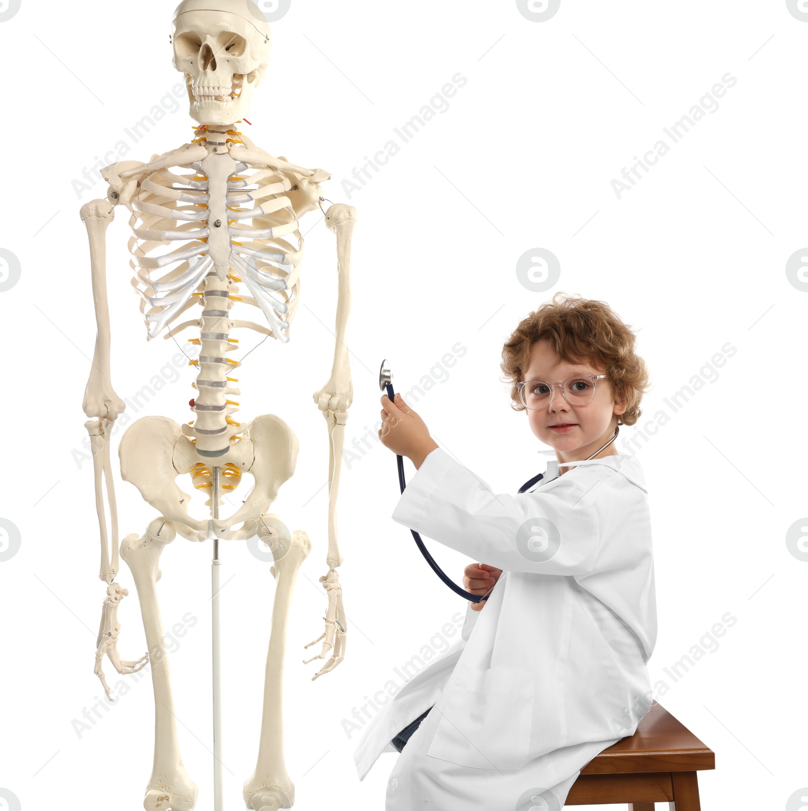 Choice of profession. Little boy with stethoscope and human skeleton model pretending to be doctor on white background Photo of Choice of profession. Little boy with stethoscope and human skeleton model pretending to be doctor on white background