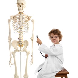 Photo of Choice of profession. Little boy with stethoscope and human skeleton model pretending to be doctor on white background