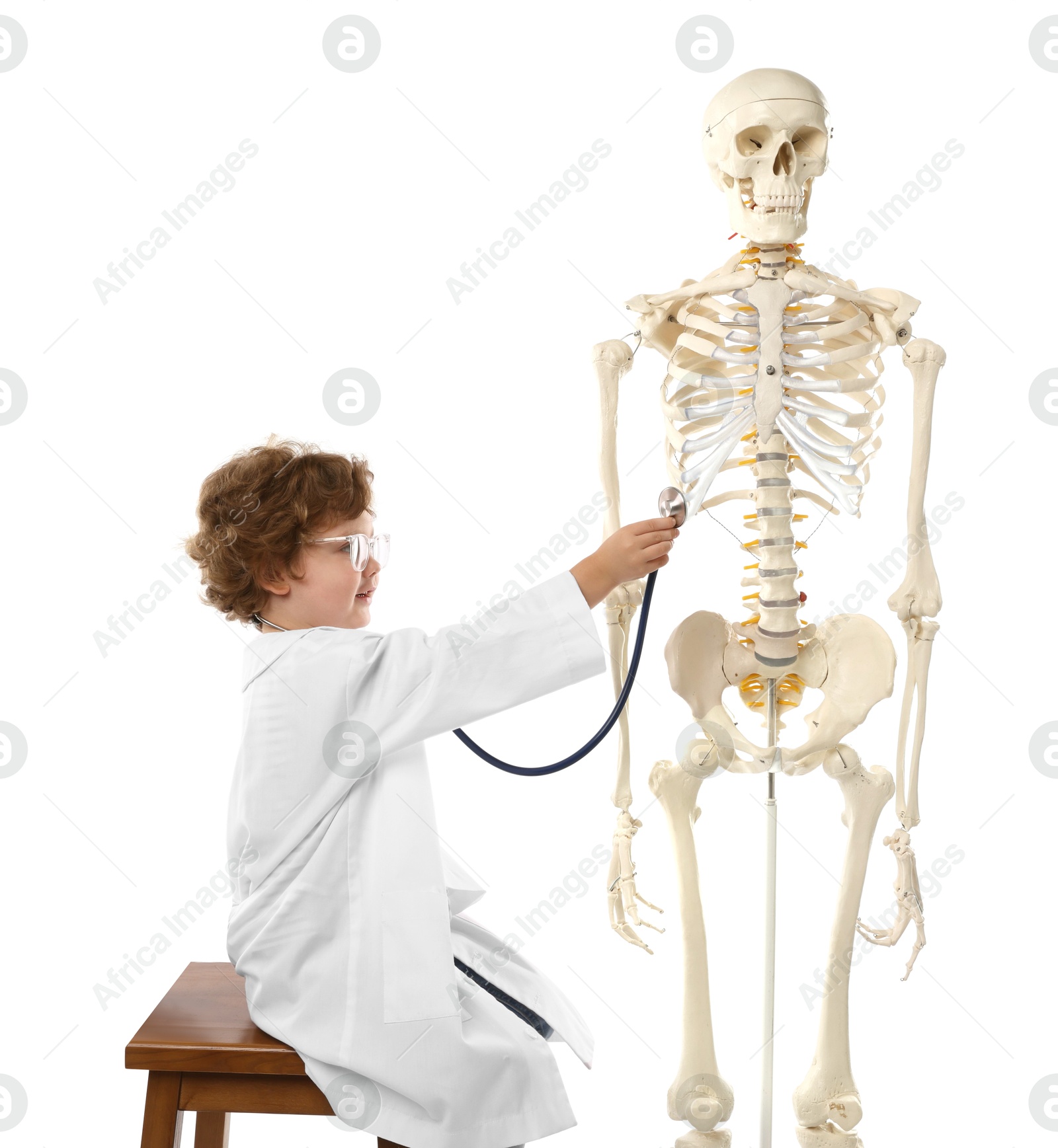 Choice of profession. Little boy with stethoscope and human skeleton model pretending to be doctor on white background Photo of Choice of profession. Little boy with stethoscope and human skeleton model pretending to be doctor on white background