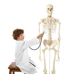 Photo of Choice of profession. Little boy with stethoscope and human skeleton model pretending to be doctor on white background