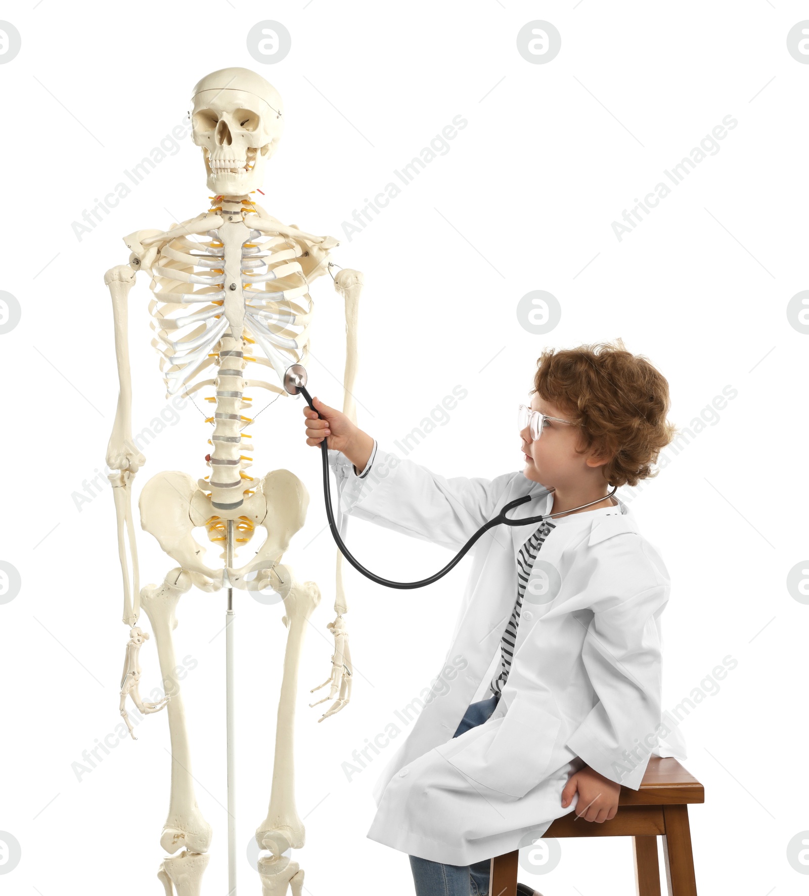 Choice of profession. Little boy with stethoscope and human skeleton model pretending to be doctor on white background Photo of Choice of profession. Little boy with stethoscope and human skeleton model pretending to be doctor on white background
