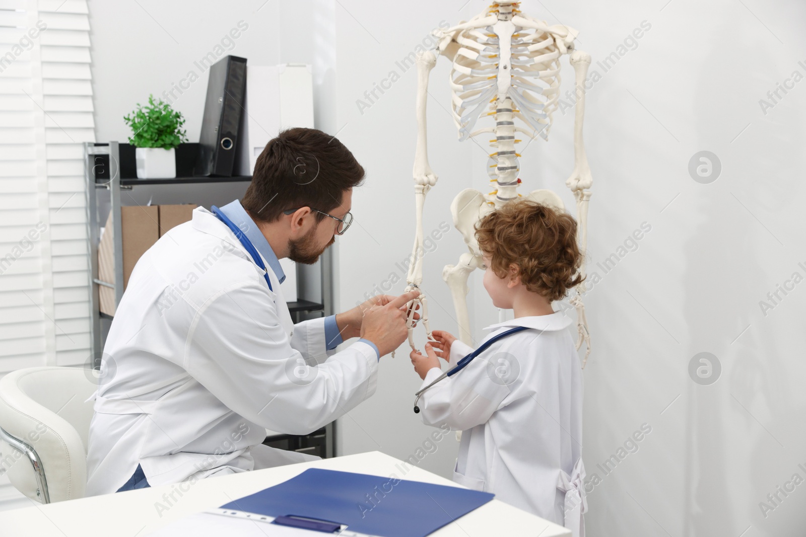 Choice of profession. Father and his son exploring human skeleton model in clinic Photo of Choice of profession. Father and his son exploring human skeleton model in clinic