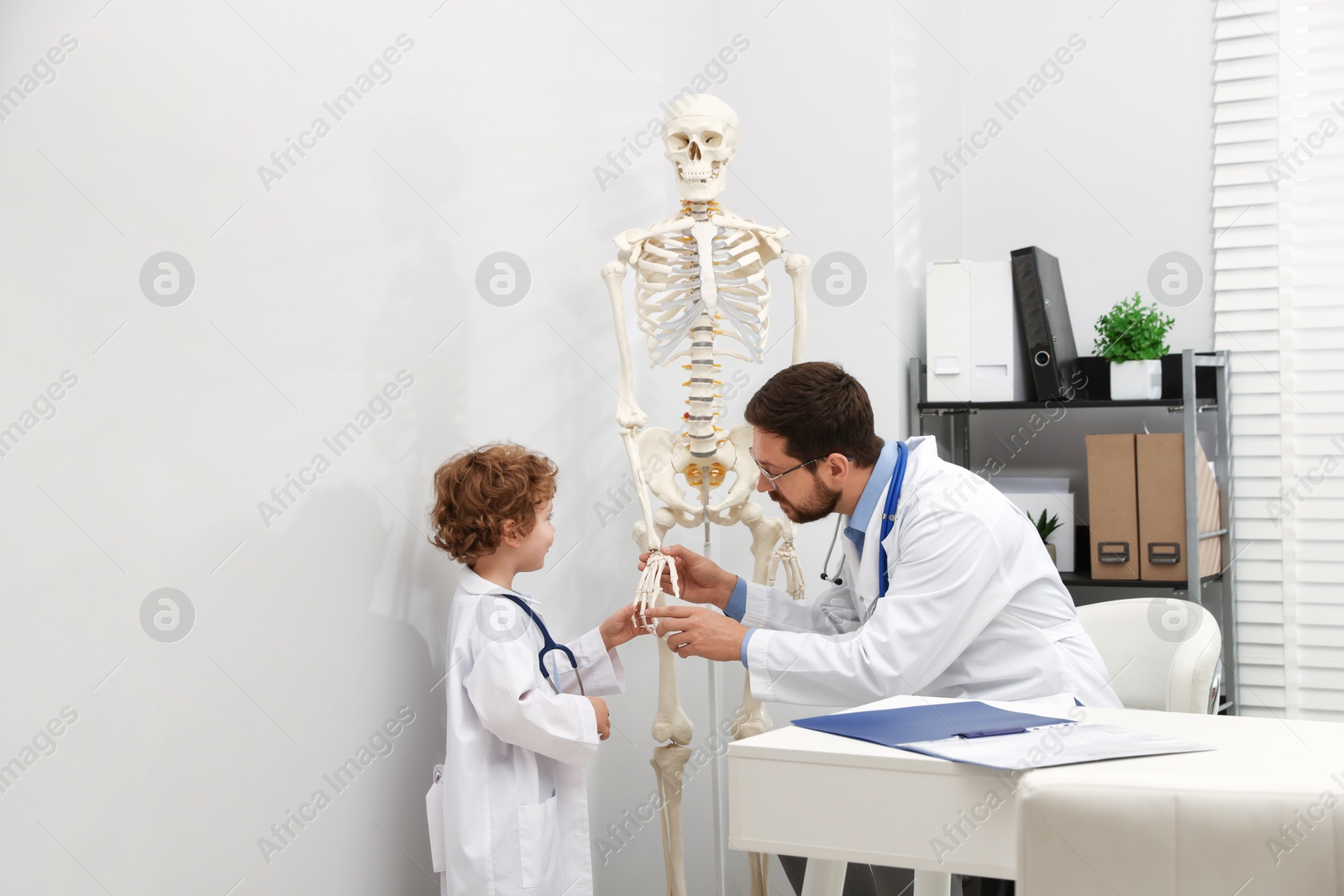 Choice of profession. Father and his son exploring human skeleton model in clinic Photo of Choice of profession. Father and his son exploring human skeleton model in clinic