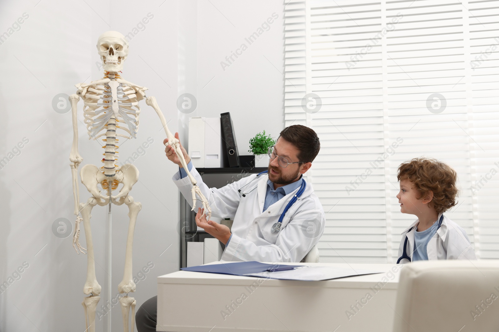 Choice of profession. Father and his son exploring human skeleton model in clinic Photo of Choice of profession. Father and his son exploring human skeleton model in clinic