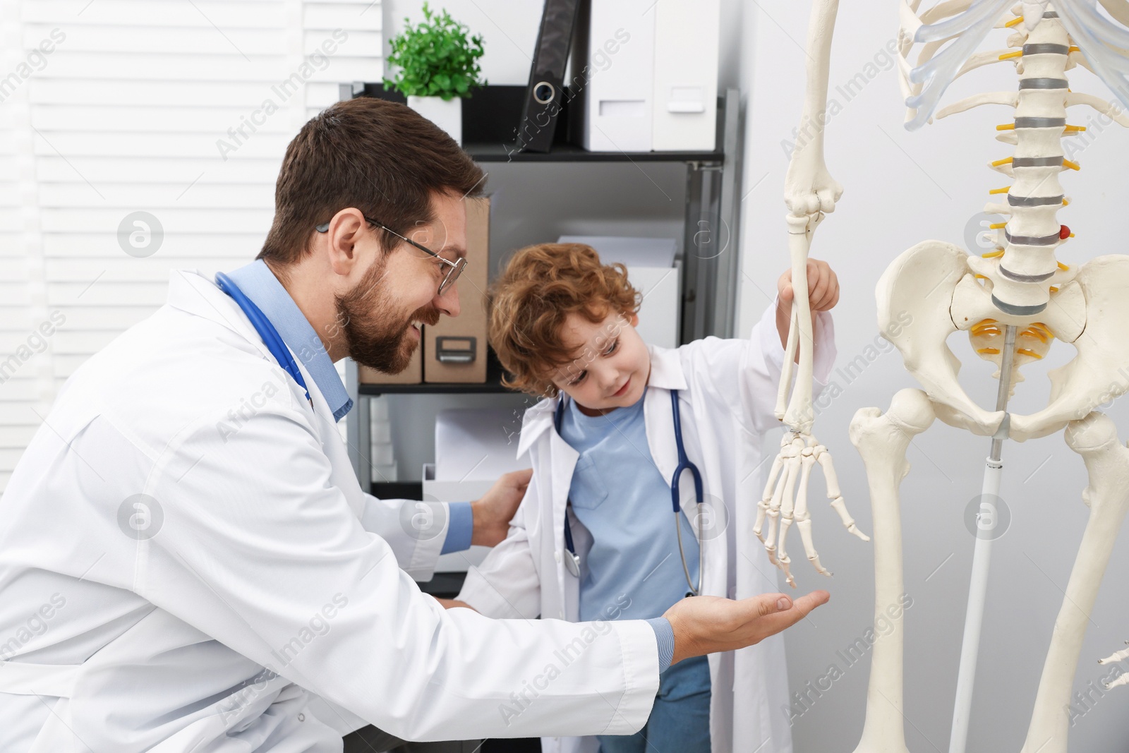 Choice of profession. Father and his son exploring human skeleton model in clinic Photo of Choice of profession. Father and his son exploring human skeleton model in clinic