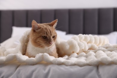 Photo of Pet hotel. Cute ginger cat on bed indoors, space for text