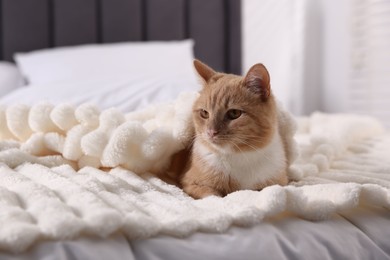 Photo of Pet hotel. Cute ginger cat on bed indoors