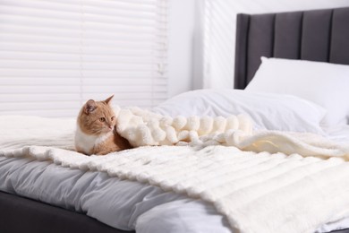 Photo of Pet hotel. Cute ginger cat on bed indoors