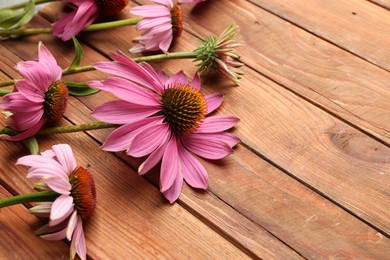 Photo of Beautiful Echinacea flowers on wooden table, closeup. Space for text