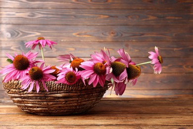 Photo of Beautiful Echinacea flowers in wicker basket on wooden table, closeup