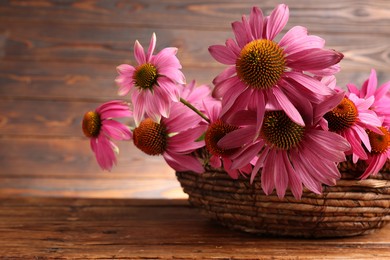 Photo of Beautiful Echinacea flowers in wicker basket on wooden table, closeup