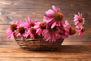 Photo of Beautiful Echinacea flowers in wicker basket on wooden table, closeup
