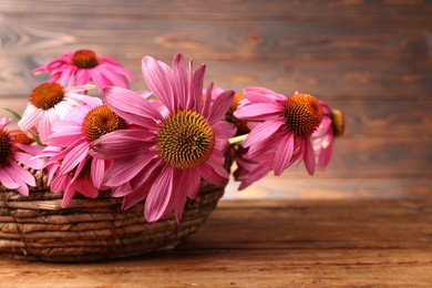 Photo of Beautiful Echinacea flowers in wicker basket on wooden table, closeup