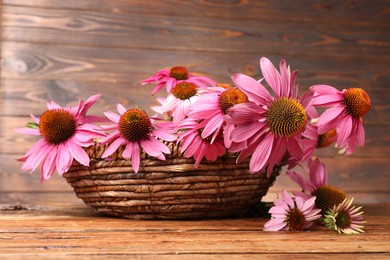 Photo of Beautiful Echinacea flowers in wicker basket on wooden table, closeup