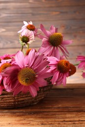 Photo of Beautiful Echinacea flowers in wicker basket on wooden table, closeup
