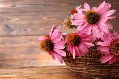 Photo of Beautiful Echinacea flowers in wicker basket on wooden table, closeup. Space for text