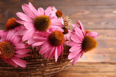 Photo of Beautiful Echinacea flowers in wicker basket on wooden table, closeup. Space for text
