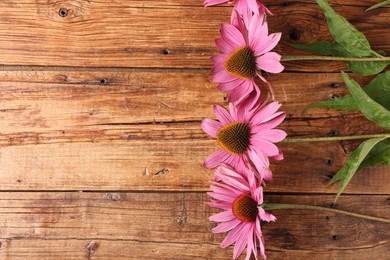 Photo of Beautiful Echinacea flowers on wooden table, flat lay. Space for text