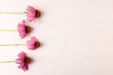 Photo of Beautiful Echinacea flowers on light wooden table, flat lay. Space for text