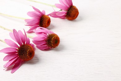 Photo of Beautiful Echinacea flowers on light wooden table, closeup. Space for text