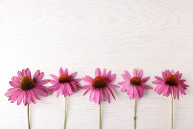 Photo of Beautiful Echinacea flowers on light wooden table, flat lay. Space for text