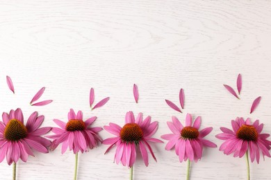 Photo of Beautiful Echinacea flowers on light wooden table, flat lay. Space for text