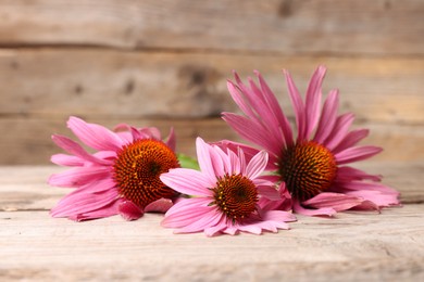 Photo of Beautiful Echinacea flowers on wooden table, closeup