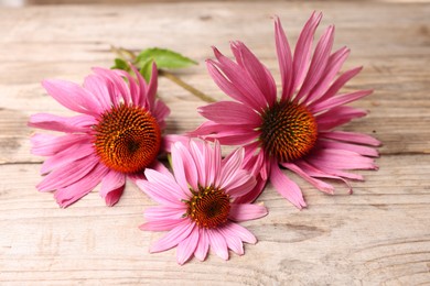 Photo of Beautiful Echinacea flowers on wooden table, closeup