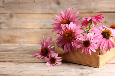 Photo of Beautiful Echinacea flowers in crate on wooden table, closeup. Space for text