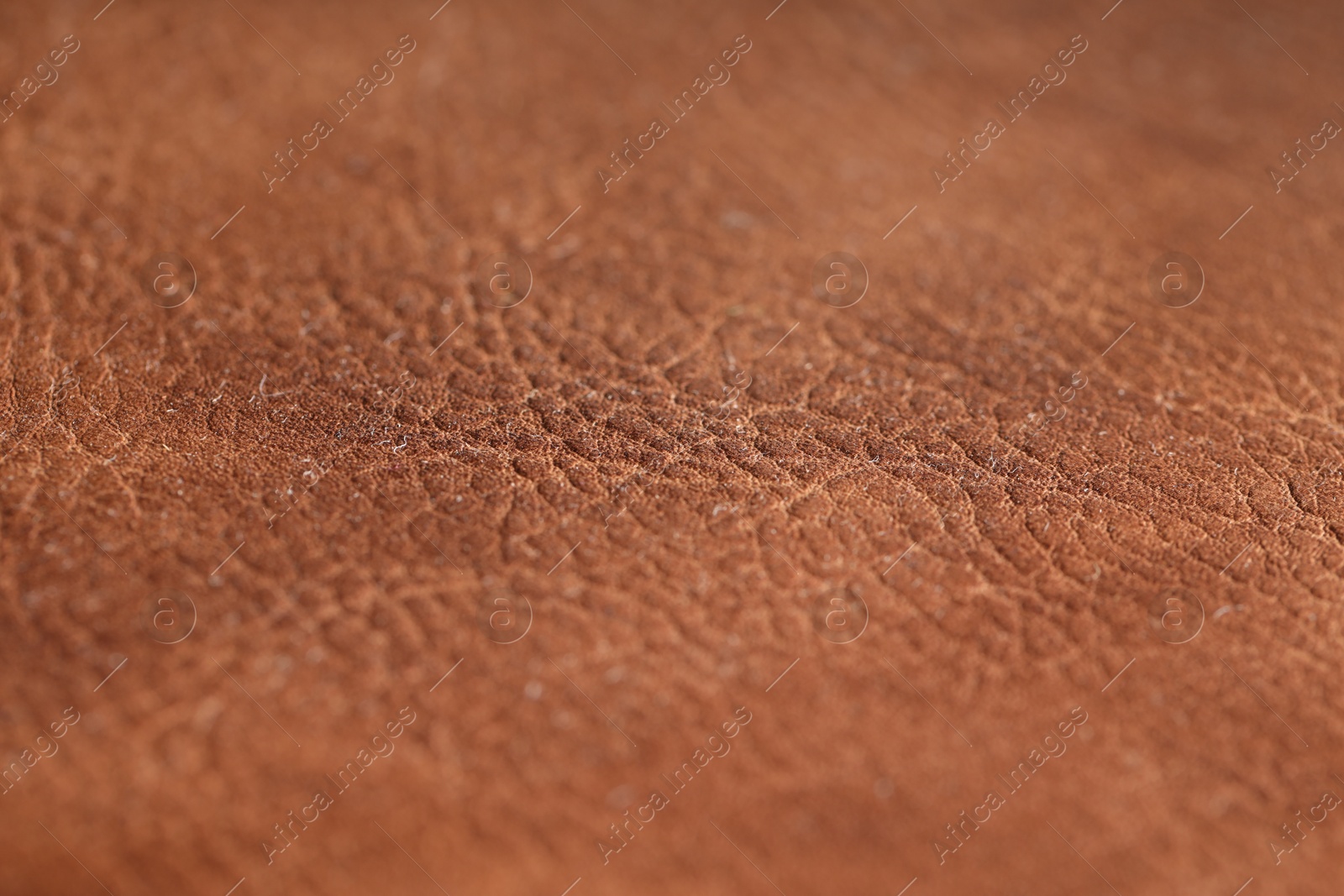 Texture of natural leather as background, closeup Photo of Texture of natural leather as background, closeup